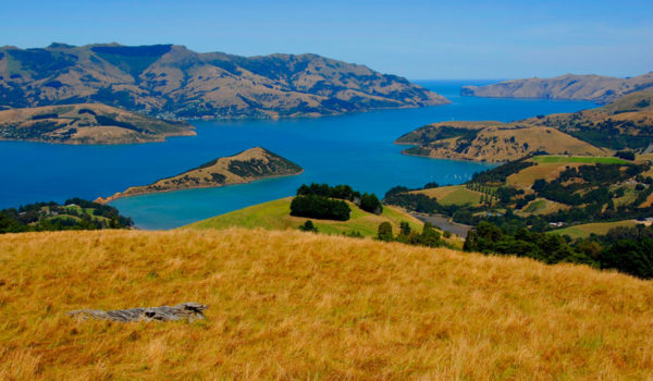 CANTERBURY-PLAINS-web